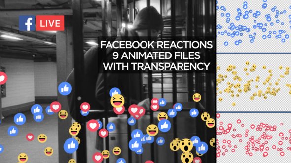 facebook live after effects template free download